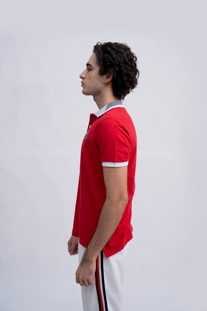 Men Graphic Polo