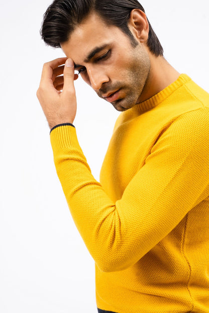 Men Sweater
