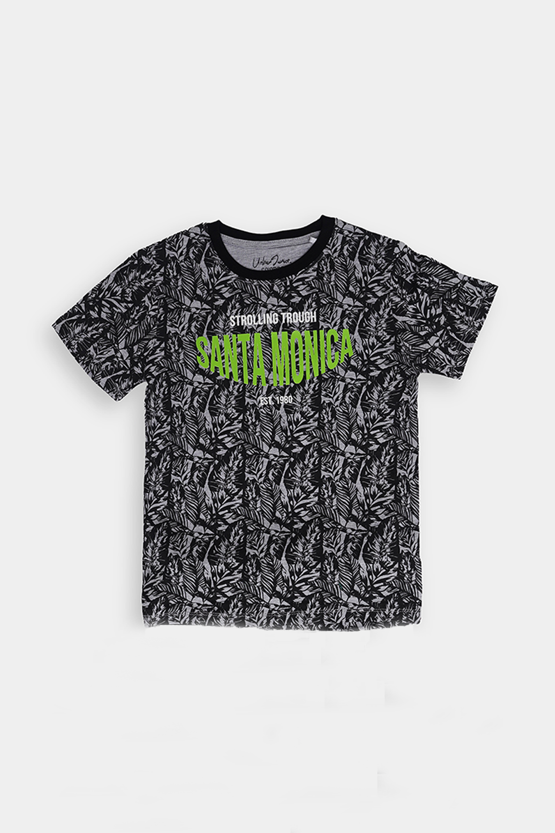 Graphic T- shirt