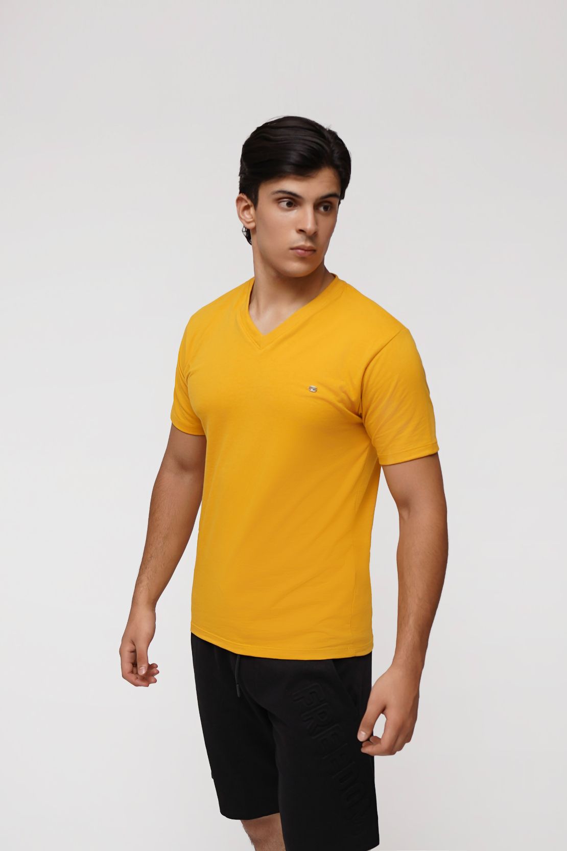 Men V Neck Style Tee